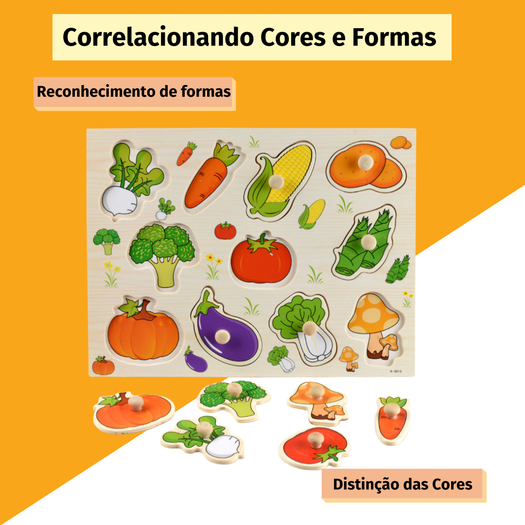 Brinquedo Educativo Encaixe e Aprenda 3D