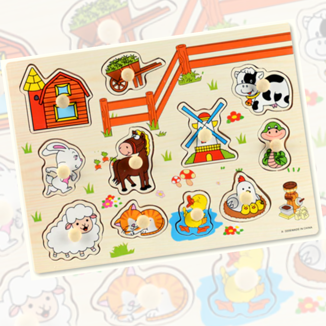 Brinquedo Educativo Encaixe e Aprenda 3D